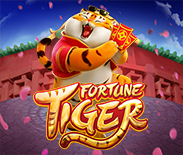 Fortune Tiger